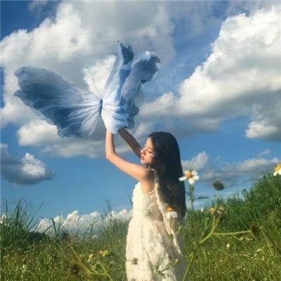 调香师第二季