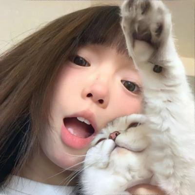 风尘舞蝶